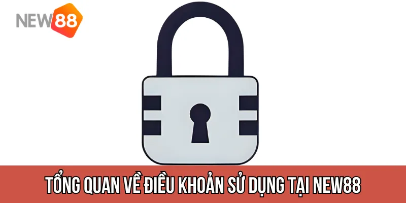 Tổng quan về điều khoản sử dụng tại New88