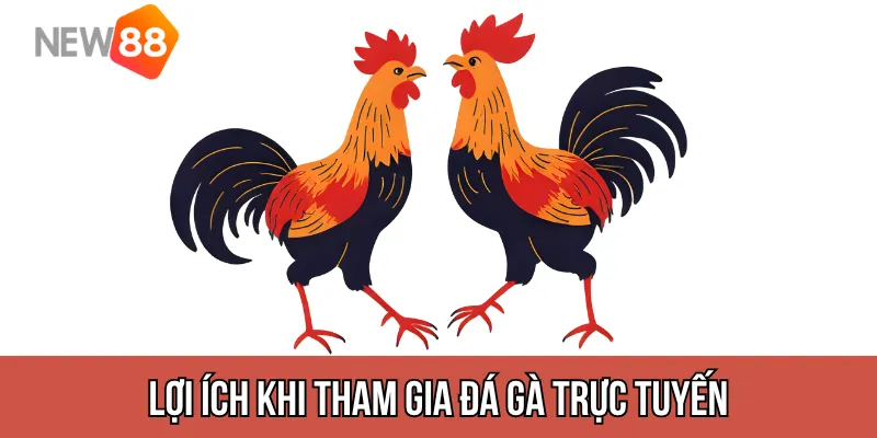 lợi ích khi tham gia đá gà trực tuyến tại New88